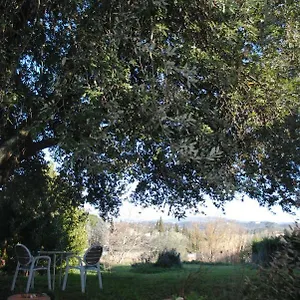 Fattoria Di Malavolta Firenze